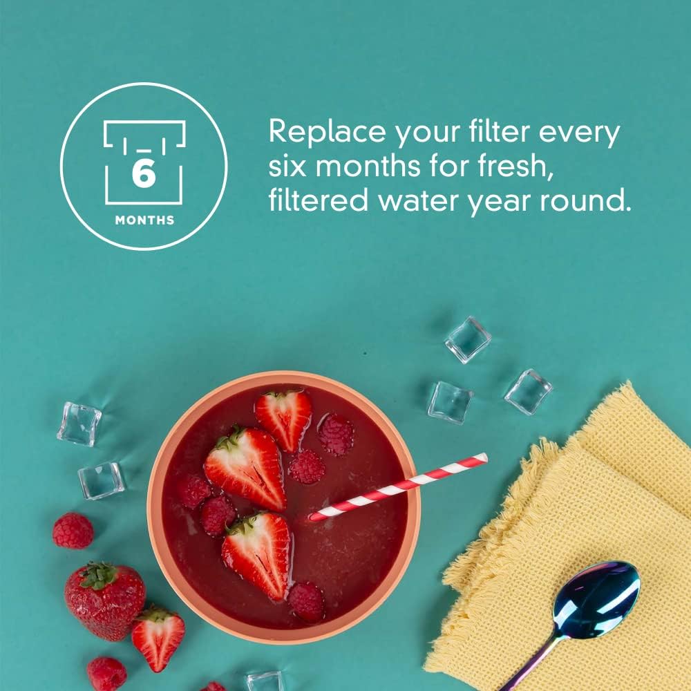 Everydrop Ice & Water Refrigerator Filter 2, EDR2RXD1